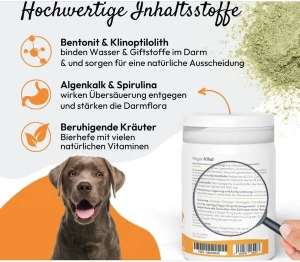 PHA MagenVital für Hunde Pulver, 200 g