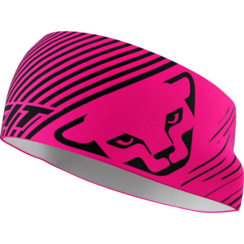 Dynafit Graphic Performance Stirnband