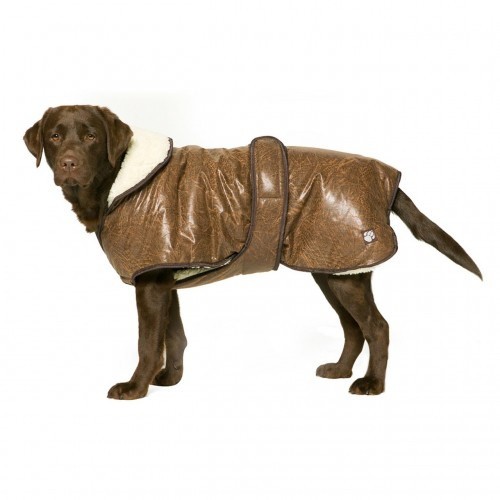 Casaco Waggles da Danish Design Pet Products, marrom