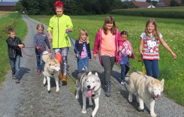 Schlittenhunde Workshop Kulz in der Oberpfalz