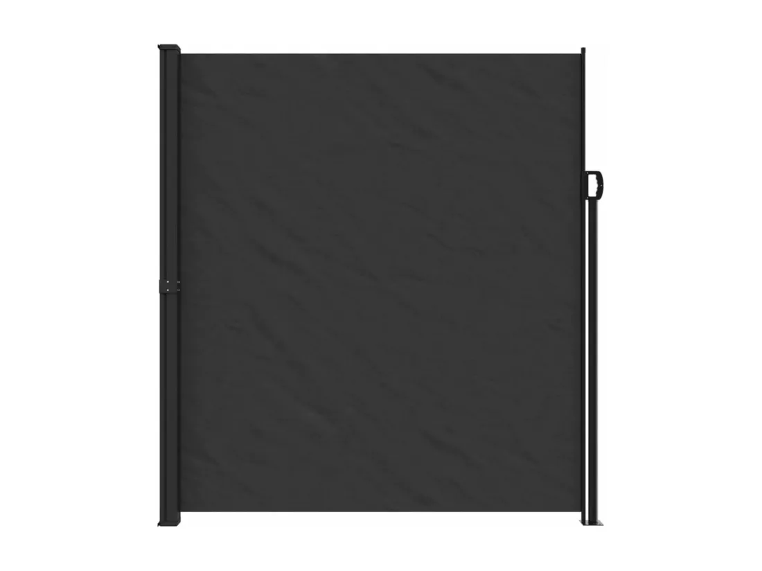 Auvent latéral rétractable noir 220x500 cm