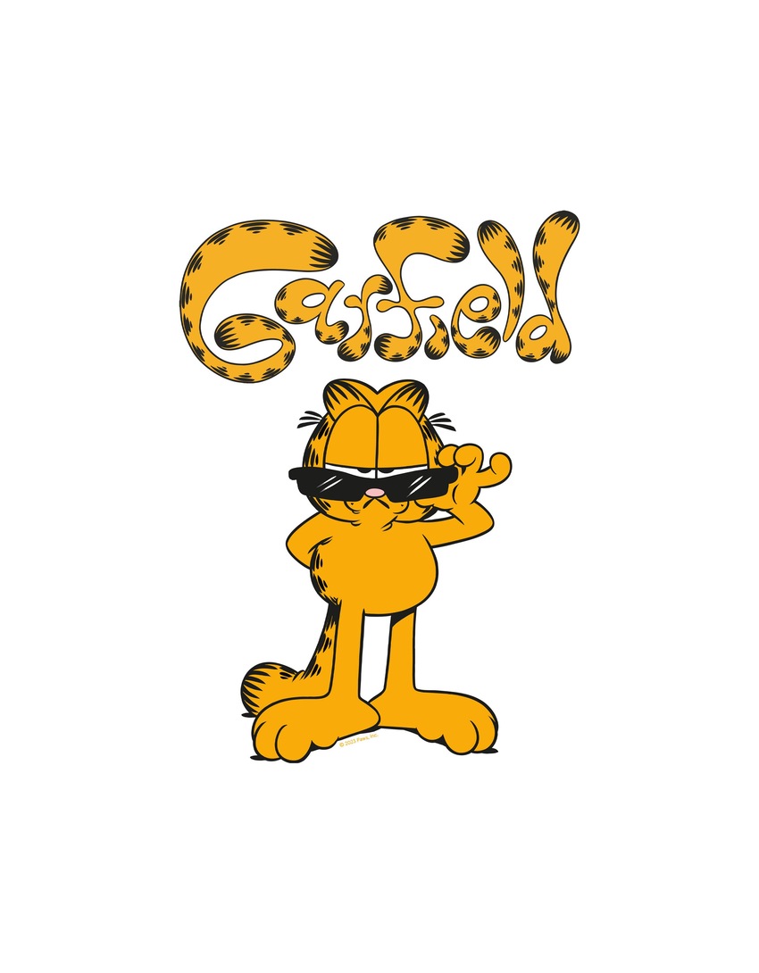 Camiseta oversized de manga curta com estampa do Garfield
