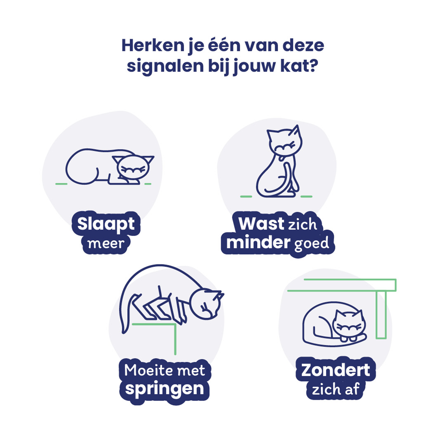 Flexadin Advanced Kat