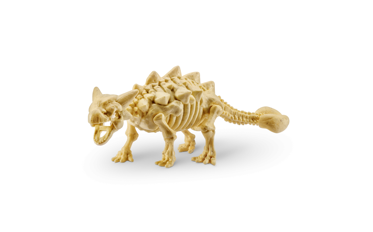 Dino Fossil Find verrassingsei met dinoskelet