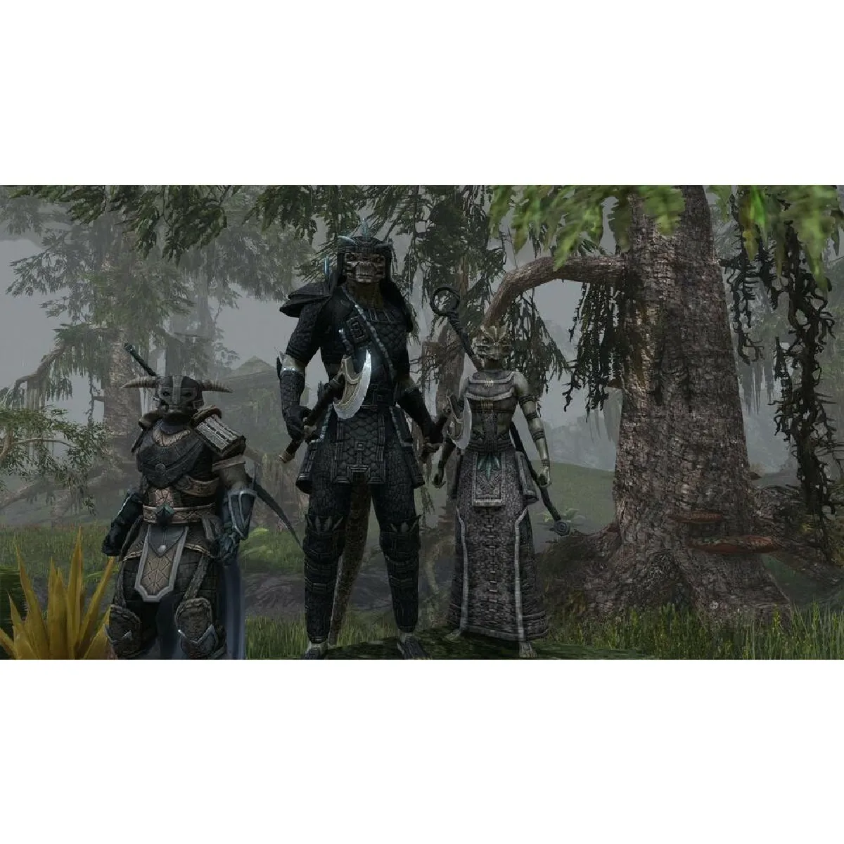 Bethesda Elder Scrolls Online Gold - PS4