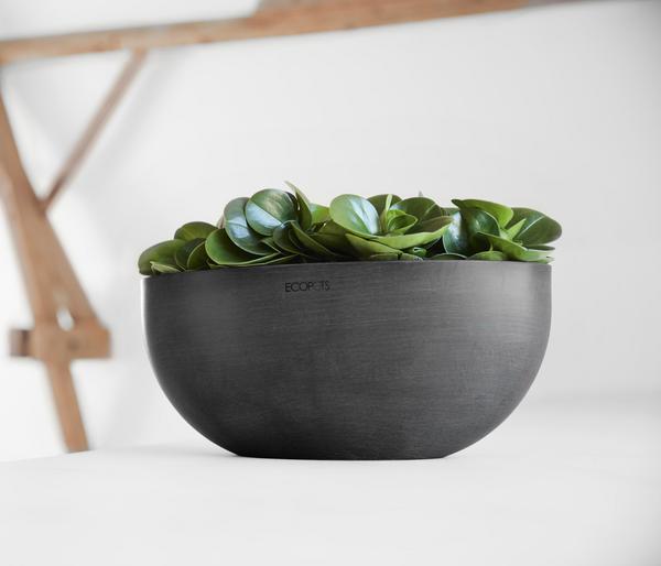 Ecopots Kunststoff-Schale Sofia mit