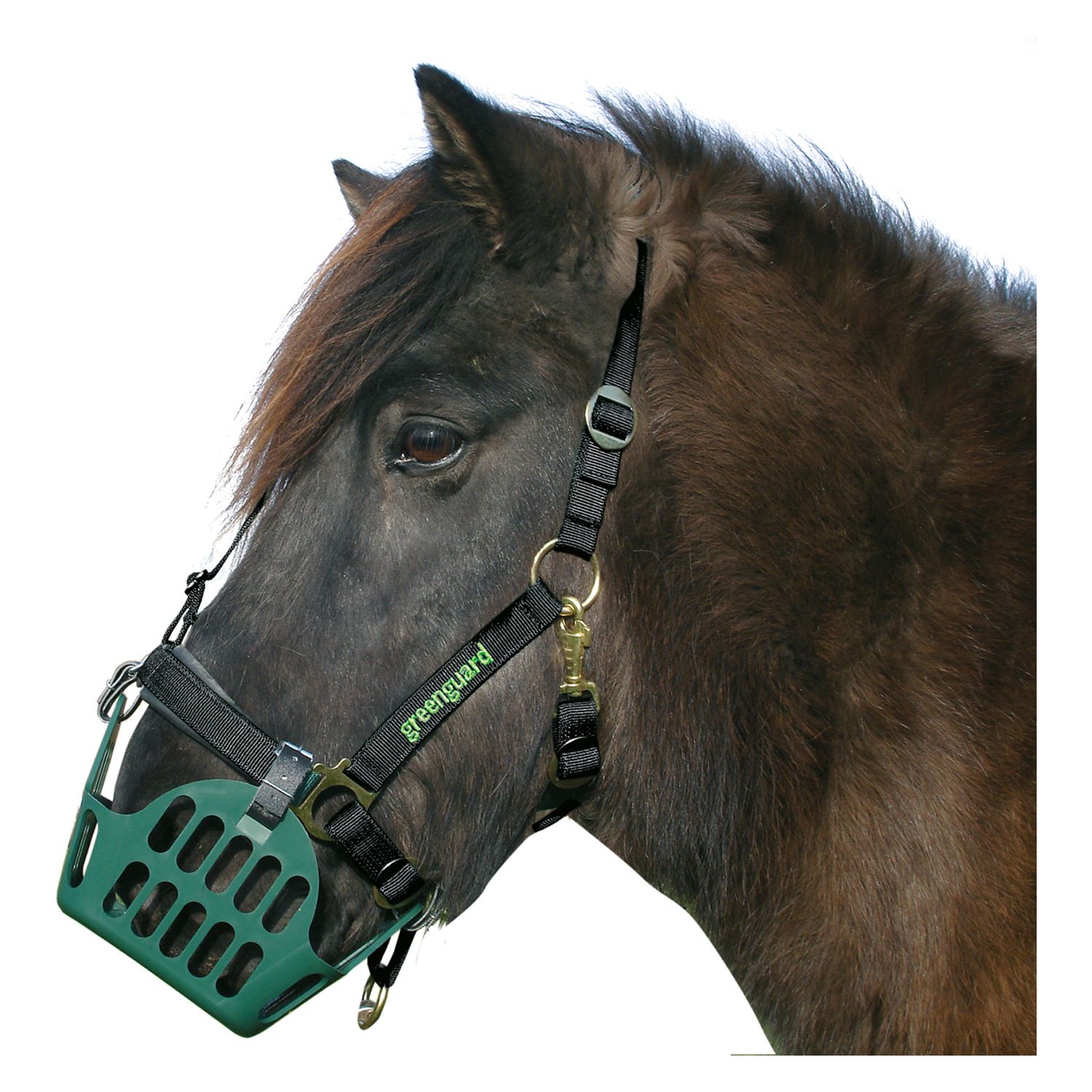 greenguard Halfter  - schwarz