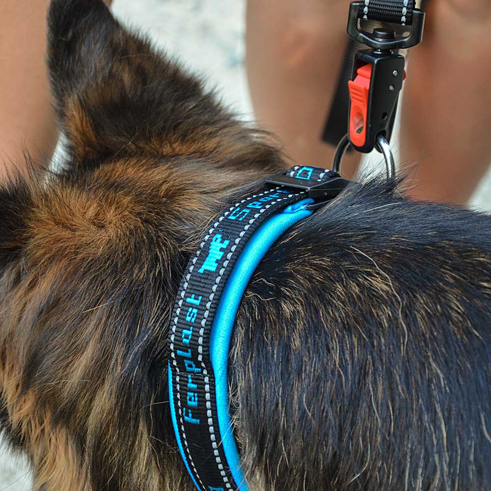 Ferplast laisse pour chiens en nylon sport dog matic g25/120, innovant mousqueton avec mécanisme magnétique, rembourrage souple,