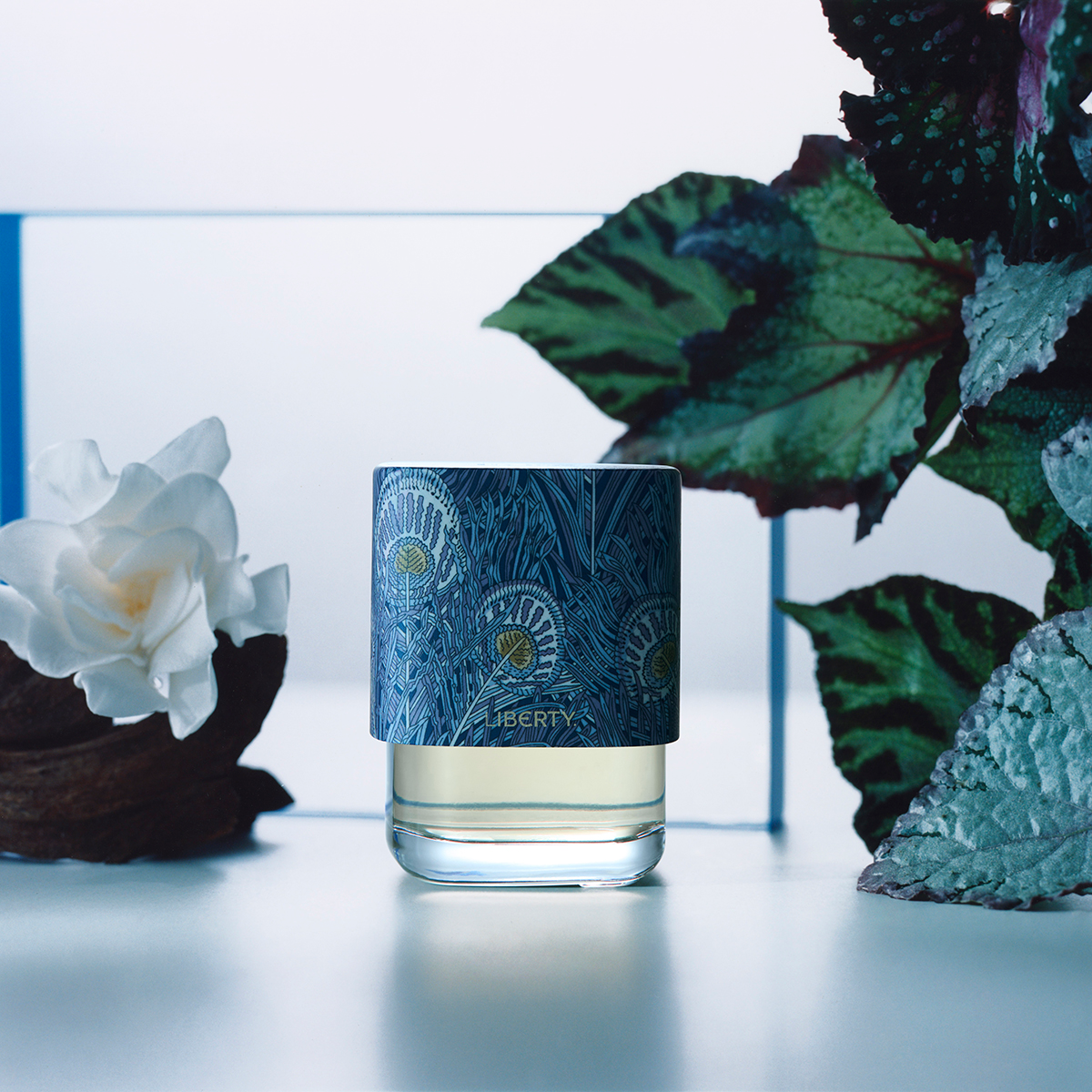 Hera Reigns Eau de Parfum 100ml