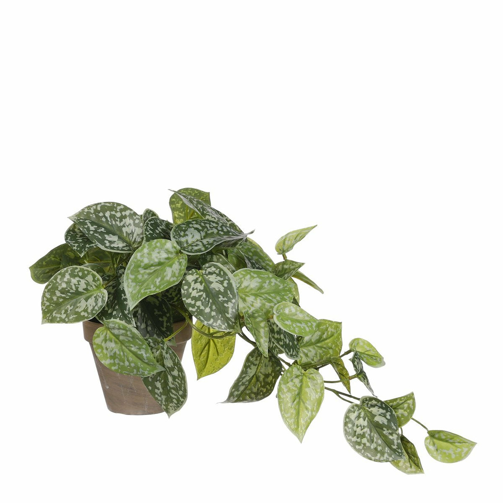 Mica decorations - scindapsus artificielle en pot h44