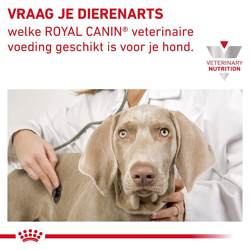 Royal Canin Hond Hepatic Dieetvoeding voor ondersteuning van de leverfunctie van volwassen honden