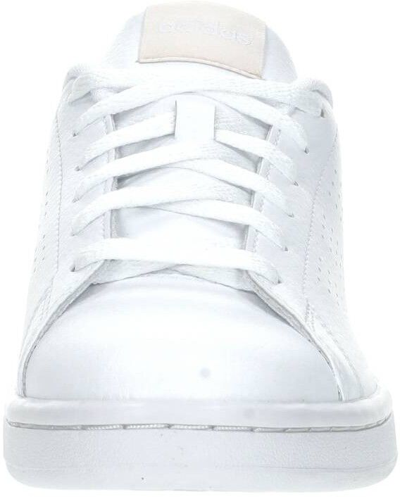 adidas Advantage wit