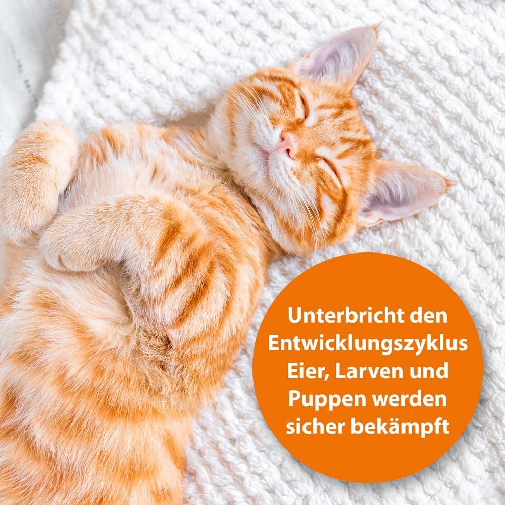ARDAP® Langzeit-Flohspray für die Umgebung