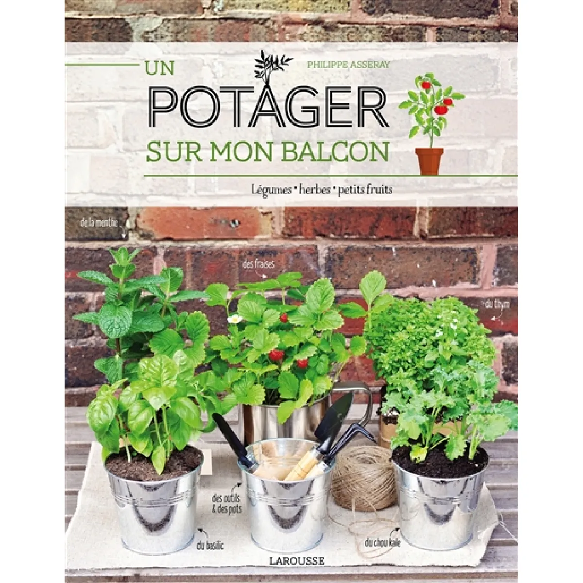 Un potager sur mon balcon : légumes, herbes, petits fruits · Occasion