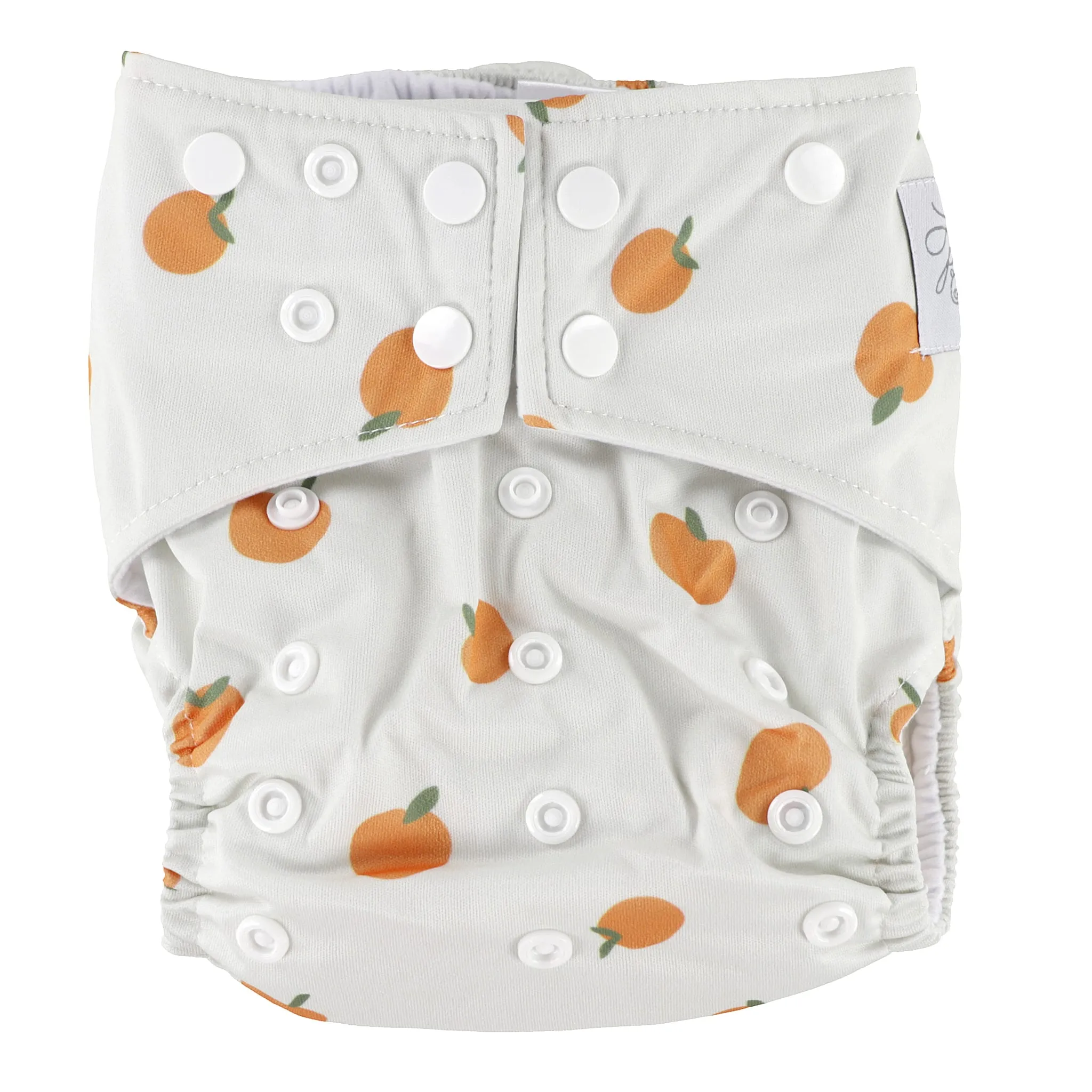 La Petite Ourse Couche Lavable 10-35lb - Pêche