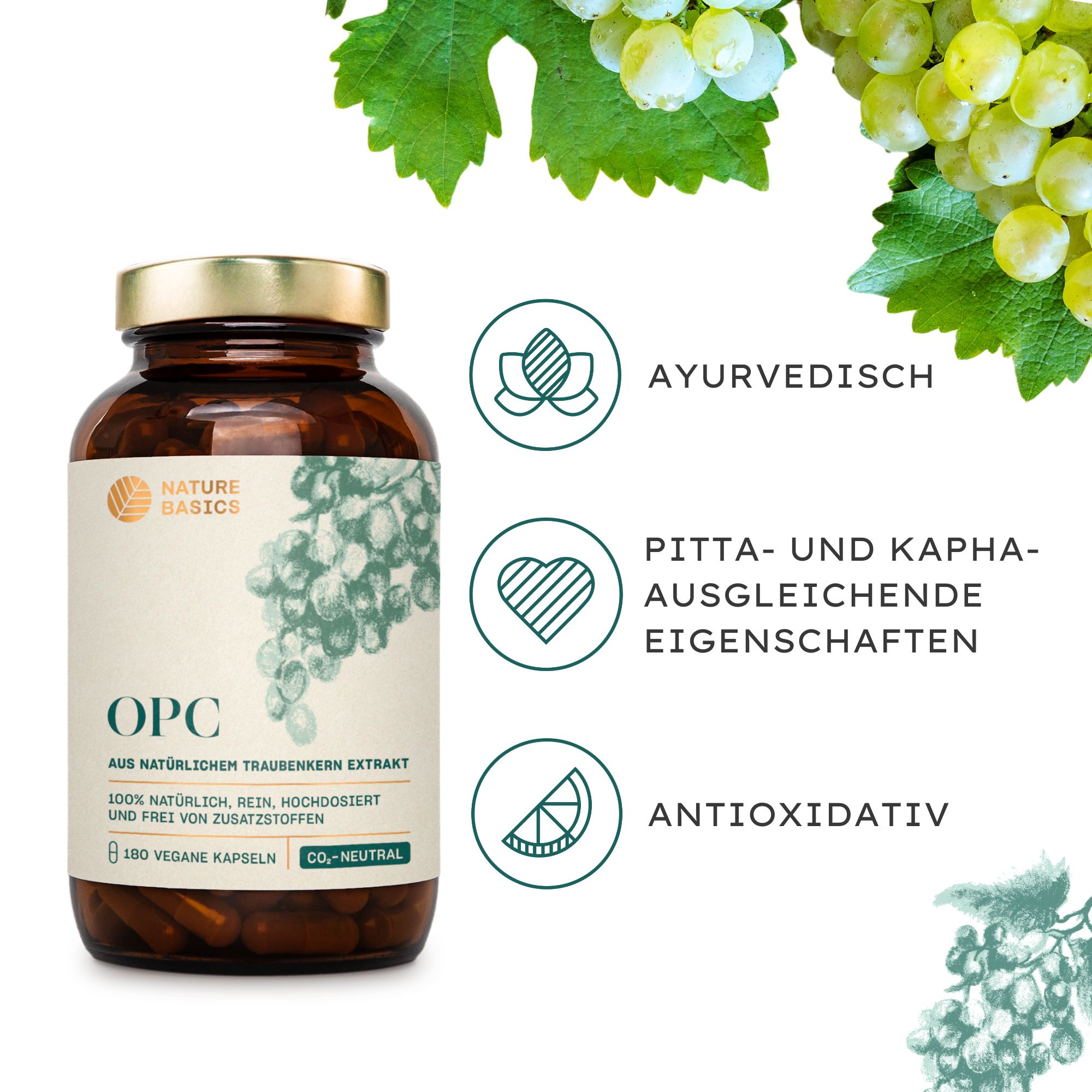 Nature Basics OPC
