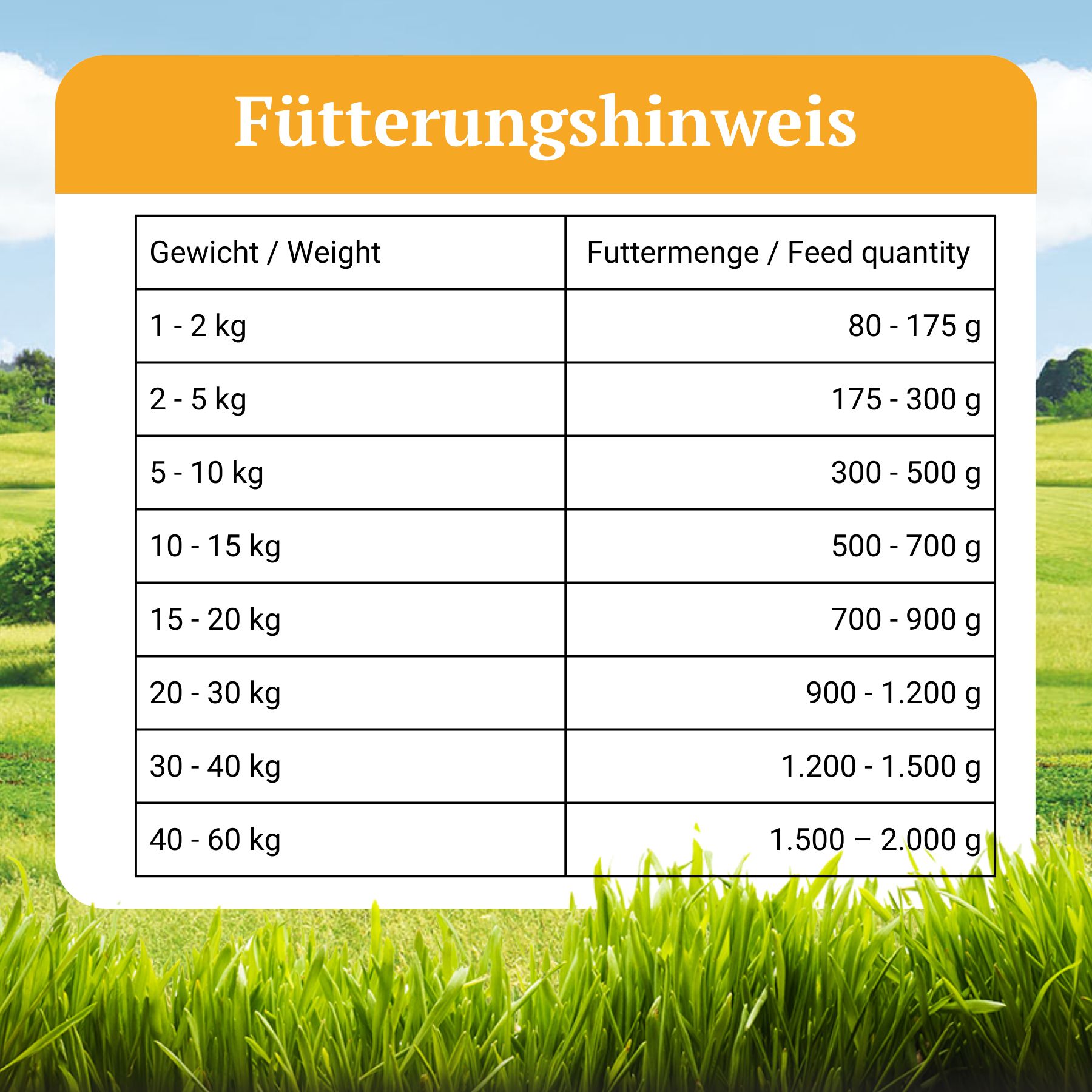 Bellfor Hundefutter Nass mit Huhn - Getreidefrei - Freiland-Menü