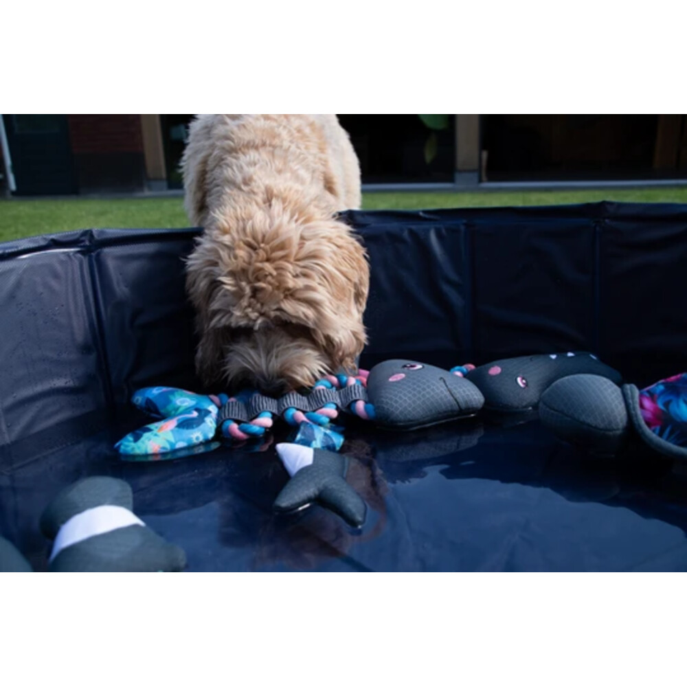 Coolpets Koelspeelgoed Pull me! Fishy Rope