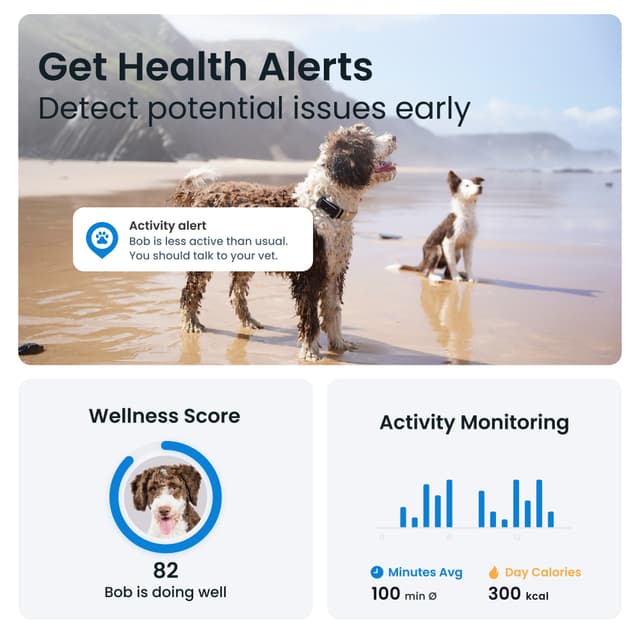 Tractive Dog 6 GPS-tracker (sort)