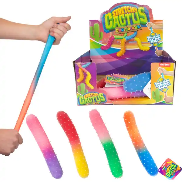 Knet-Kaktus Rainbow