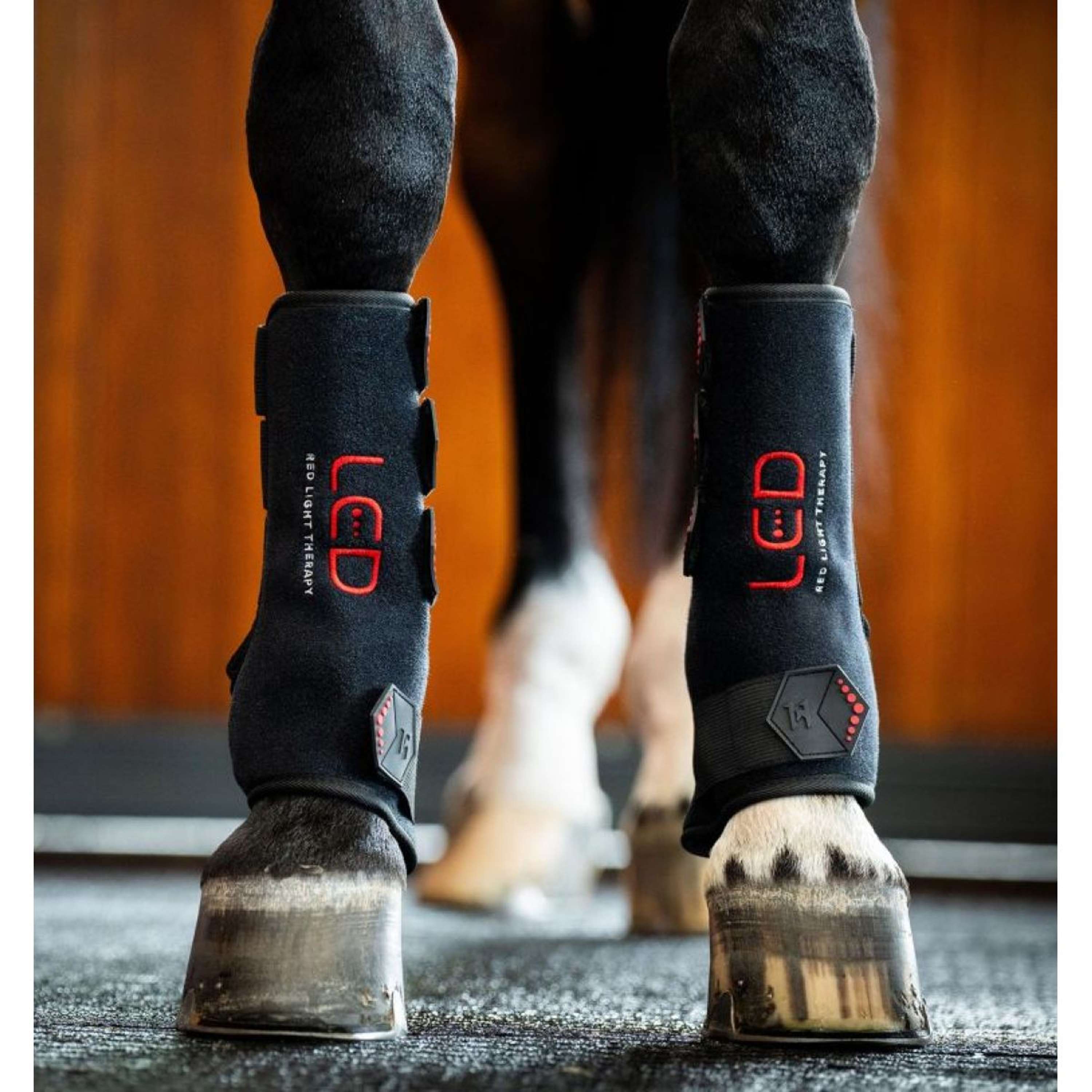 Horseware LED Red Light Therapy Right Leg Wrap Zwart