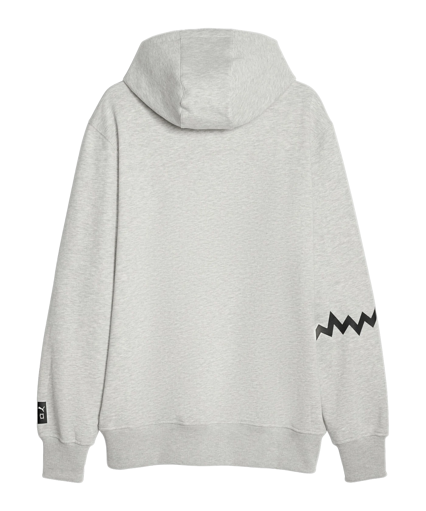 PUMA Hoops Team Hoody Grau F03