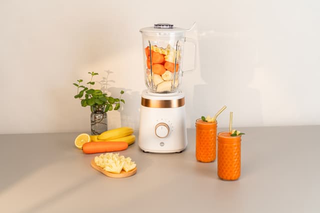 Wilfa blender BLW-1000 (hvid)