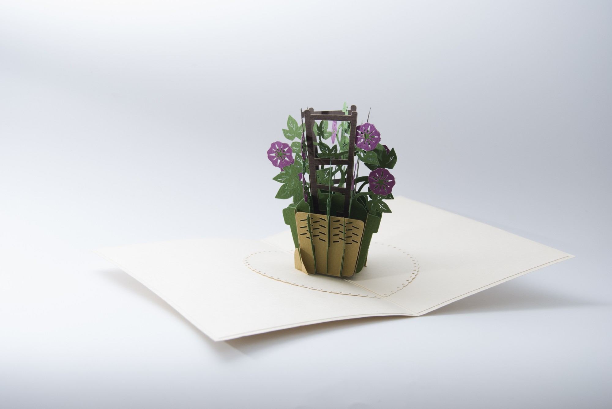 Pop-Up Karte 'Prunkwinde', purpur, L 18 cm, B 13 cm günstig bestellen