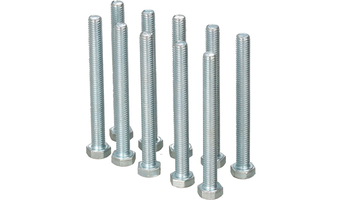 Bolte M5x50 mm - 10 stk.