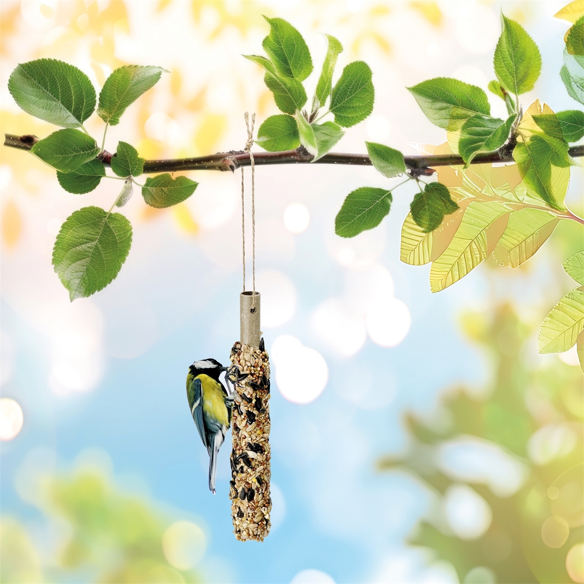 Lot de 2 barres aliment pour oiseaux