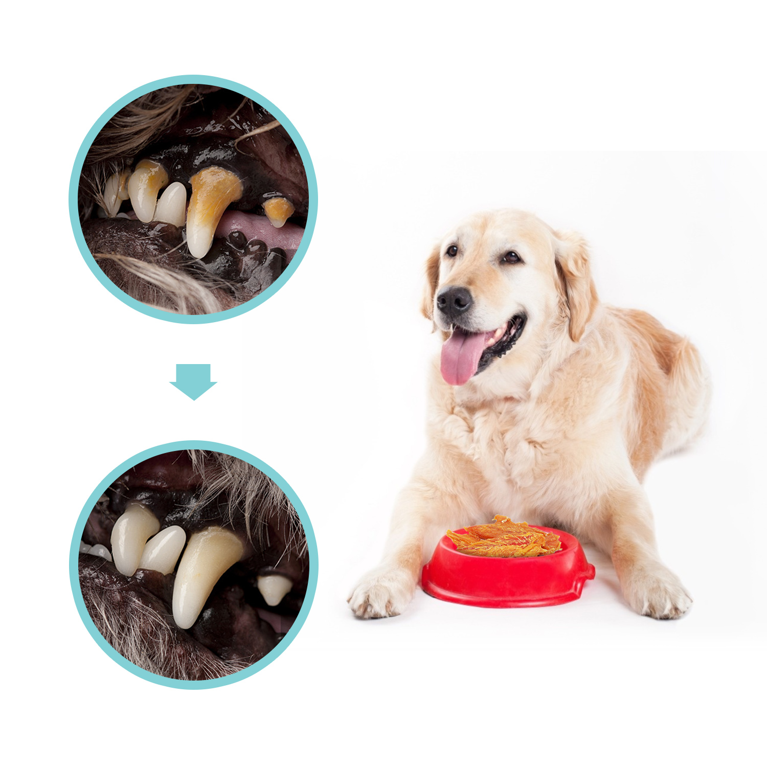 Nobleza - Petiscos para Cães, Petisco Natural com Carne Seca de Frango, Pedaços Premium de Peito de Frango, Petiscos para Treinamento de Filhotes, Pacote com 6 unidades, 600g