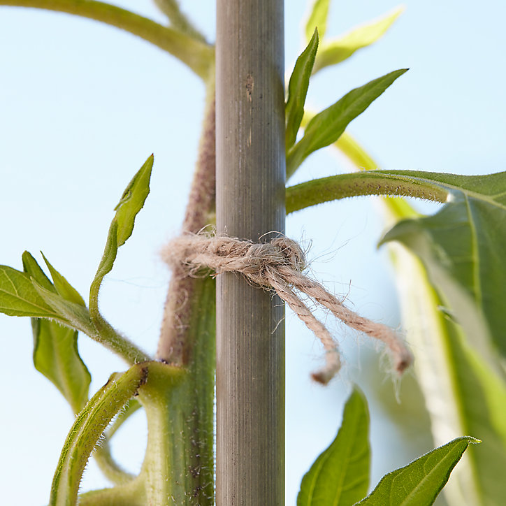 Corde de jute sur dérouleur Verve 80 m