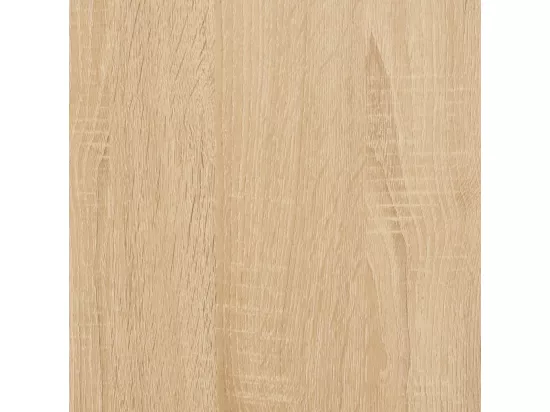 Armoire à chaussures chêne sonoma 100x35x70 bois d'ingénierie