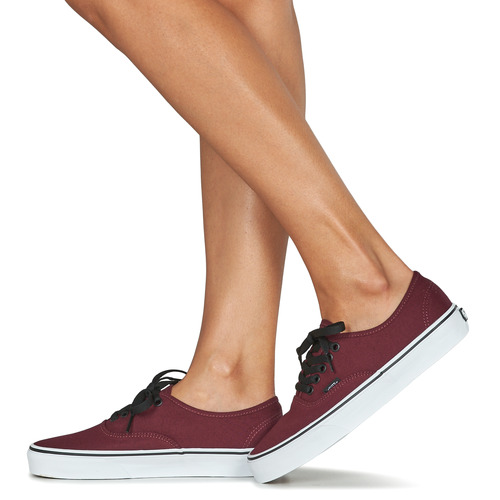 Vans - UA AUTHENTIC - Bordeaux