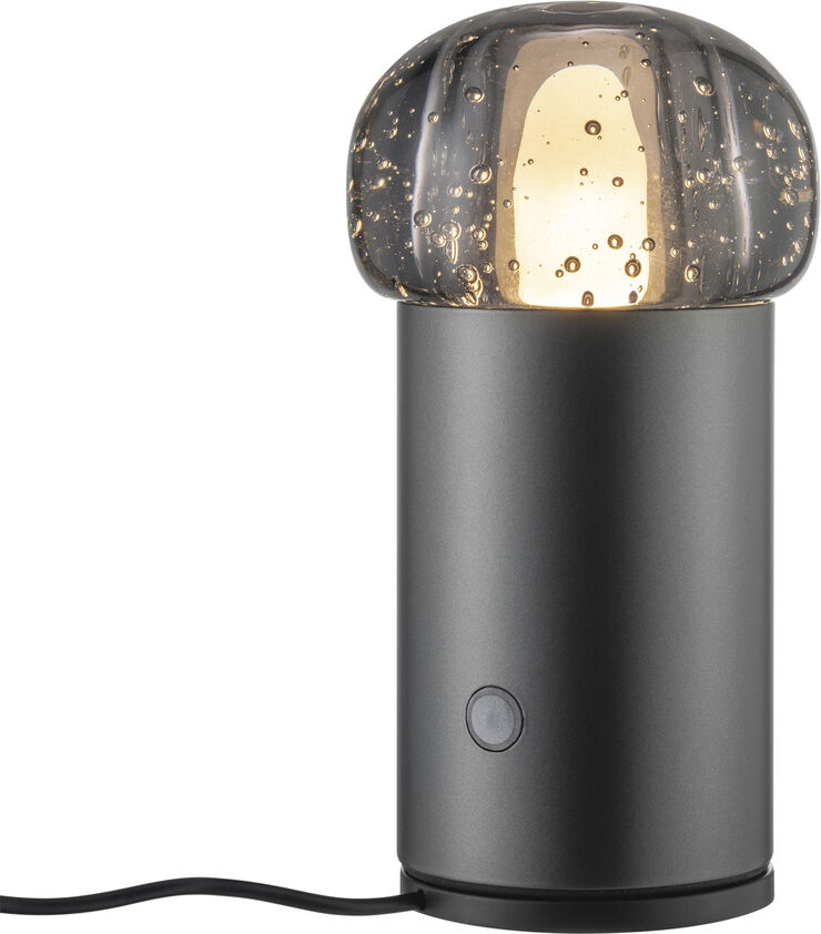 Blomus Iris mobile lamp Metal dark
