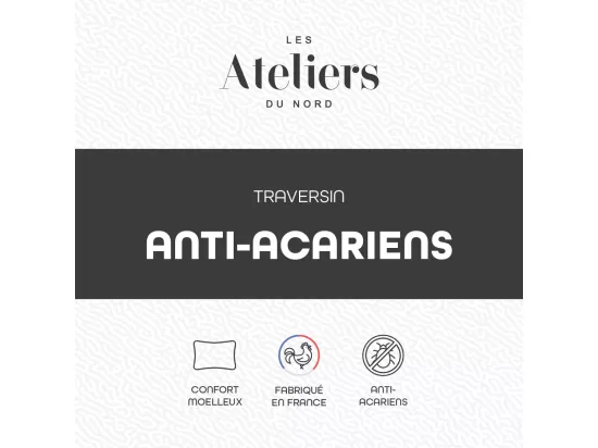 Traversin Anti-acariens 160cm