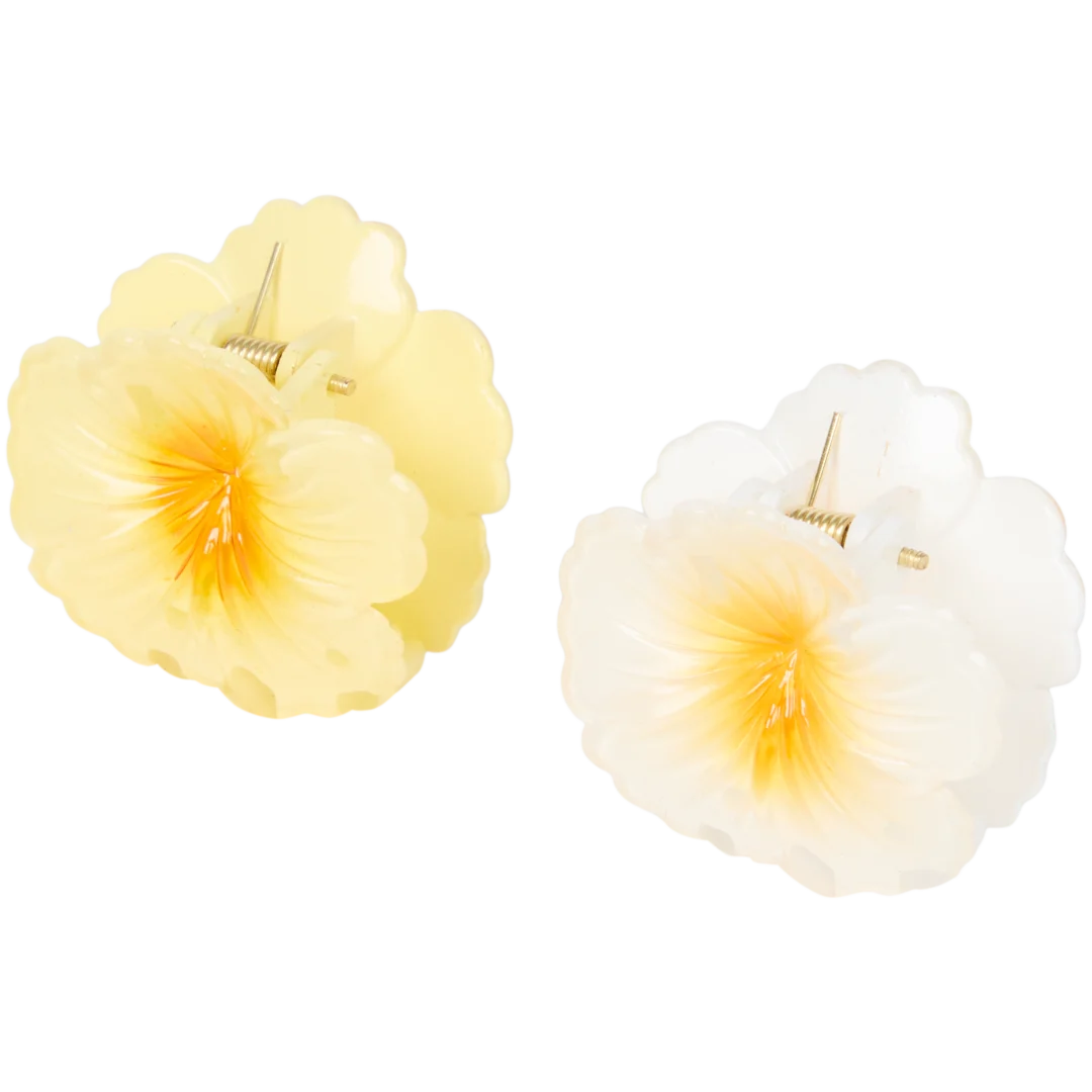 Pinces à cheveux