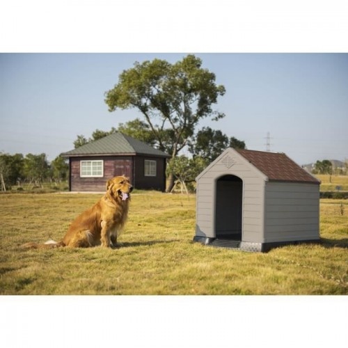 Casinha de cachorro de plástico bege e marrom da Cstore Poil & Plumes