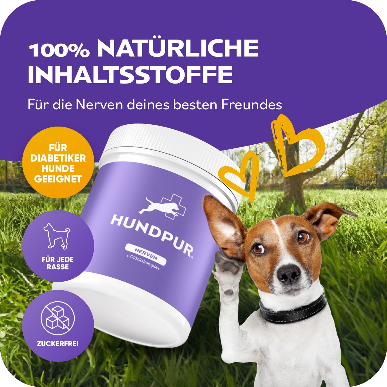 HUNDPUR® NERVEN MIT GLÜCKSKOMPLEX