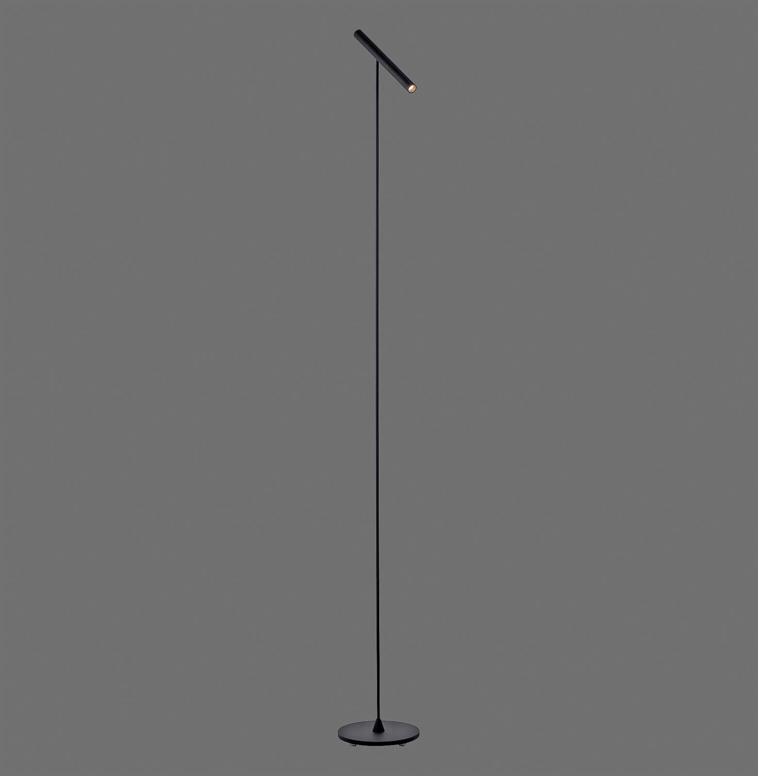 Paul Neuhaus LED Stehlampe PURE-TUTUA schwarz