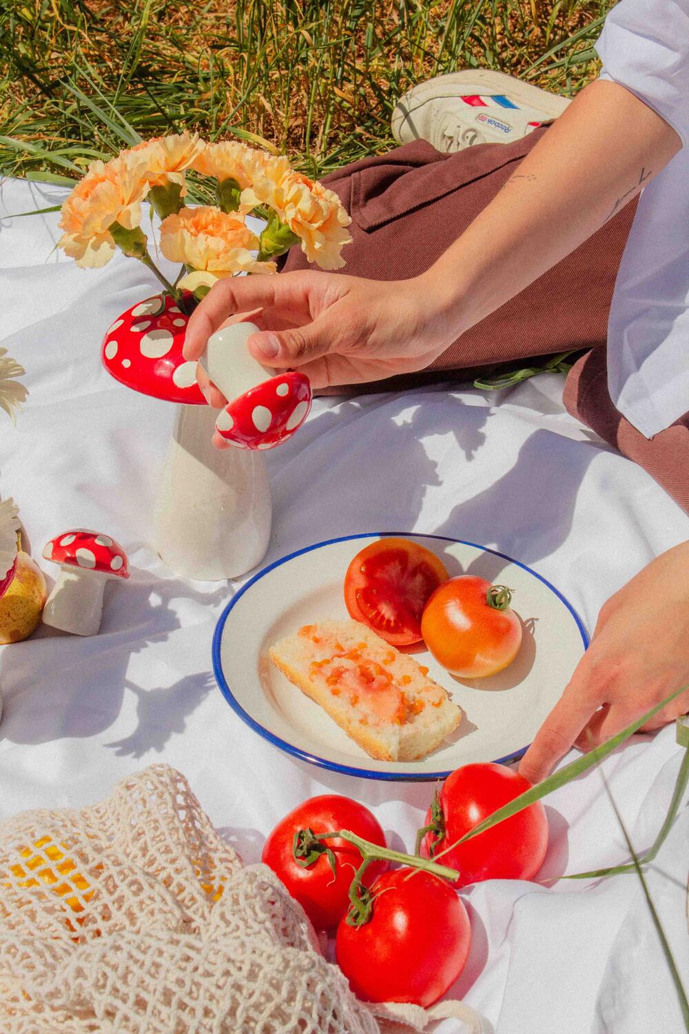 Doiy  Amanita salt & pebersæt - rød