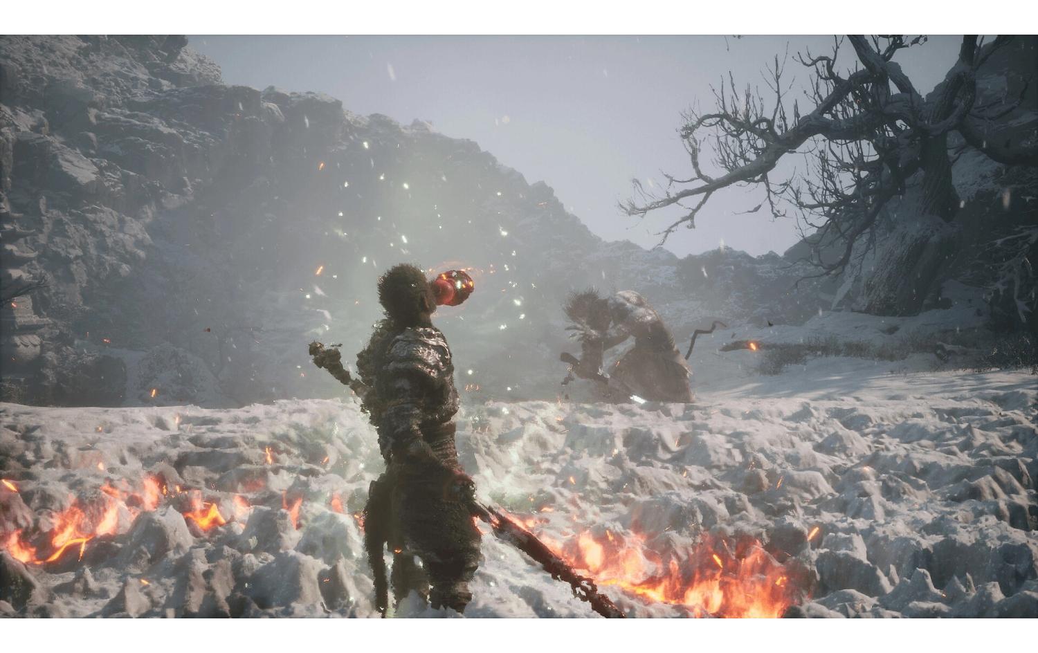 Black Myth: WukongAction-Rollenspiel mit chinesischer Mythologie, Playstation 5