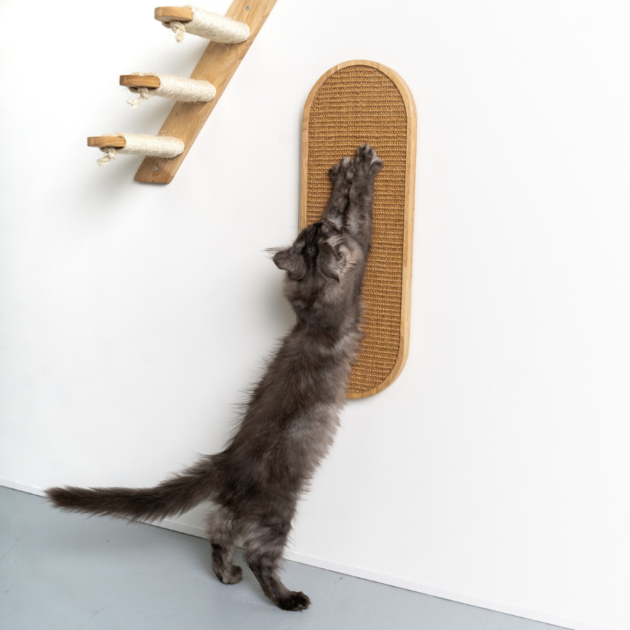 Parede de escalada para gatos - Arranhador de luxo (madeira de seringueira cáqui)