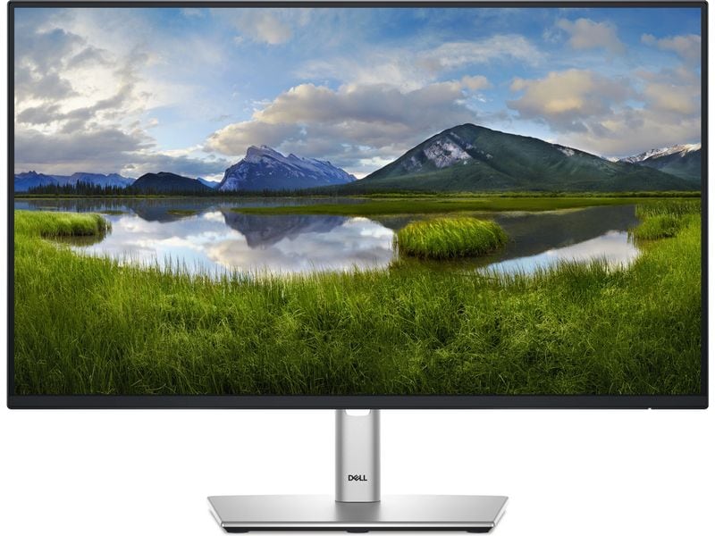 Dell Monitor P2425HE Ergonomischer 23.8