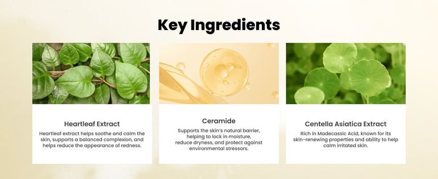 AXIS - Y - Cera-Heart My Type Duo Crème