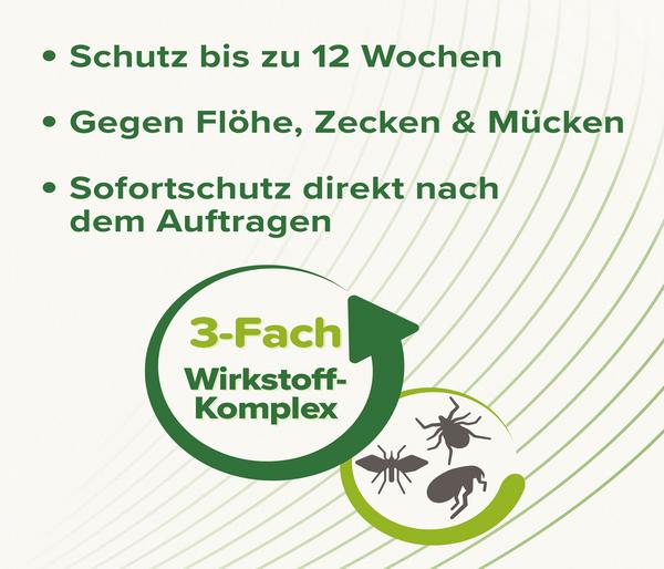 beaphar Zecken- & Flohschutz SPOT-ON für