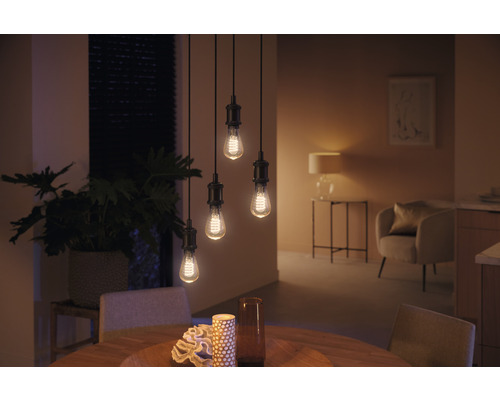 Philips Hue White Ambiance Dimbare Gouden Filamentlamp ST64 E27/7W (40W) 550 lm 2200K-6500K - Compatibel met SMART HOME van Hornbach