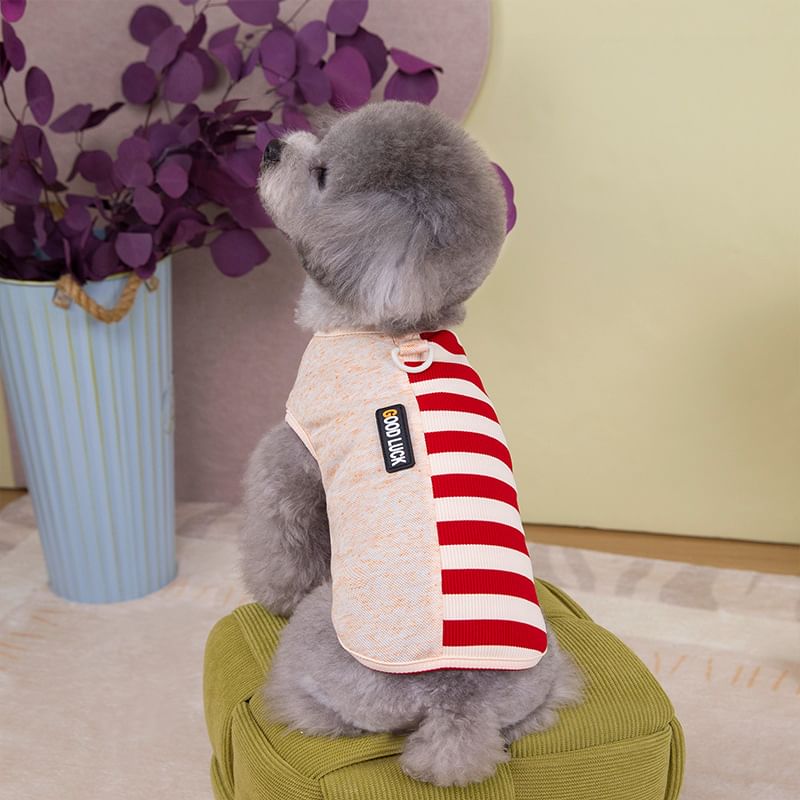 Cissilli - Gestreept Paneel Pet Top