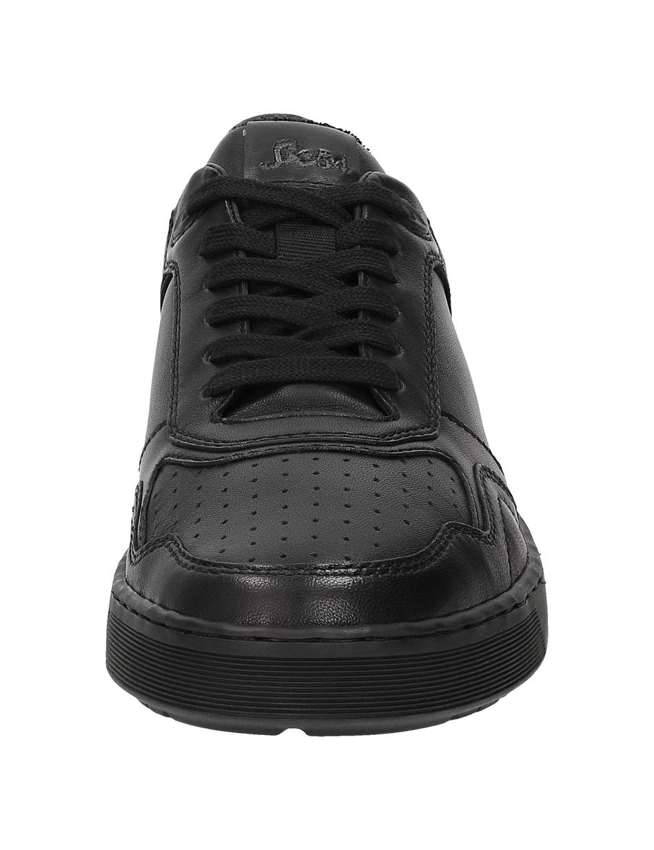 Sneaker Tedroso-704