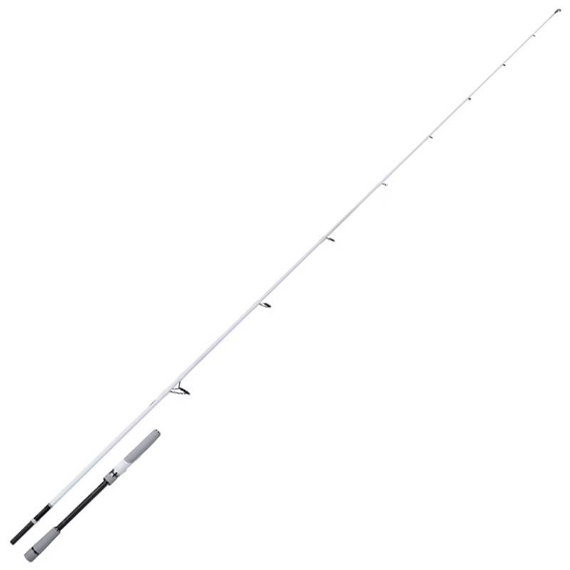 Canne Spinning Shimano Stradic Spinning Seabass